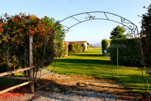 Agriturismo con Ristorante e Piscina Giuncola & Granaiolo Last Minute di Agosto Alberese Toscana Mare (3)