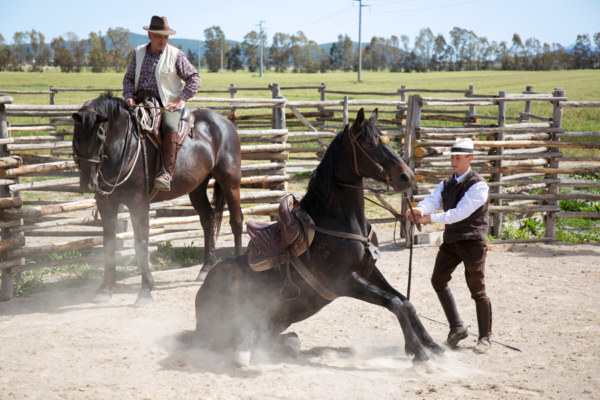 eventi in maremma lo spettacolo dei butteri alla giuncola e granaiolo