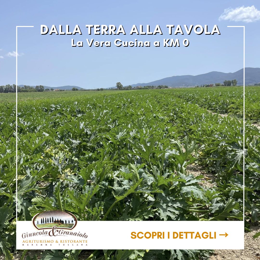 Agriturismo Alberese con ristorante - Giuncola e Granaiolo - Azienda La Fiorita