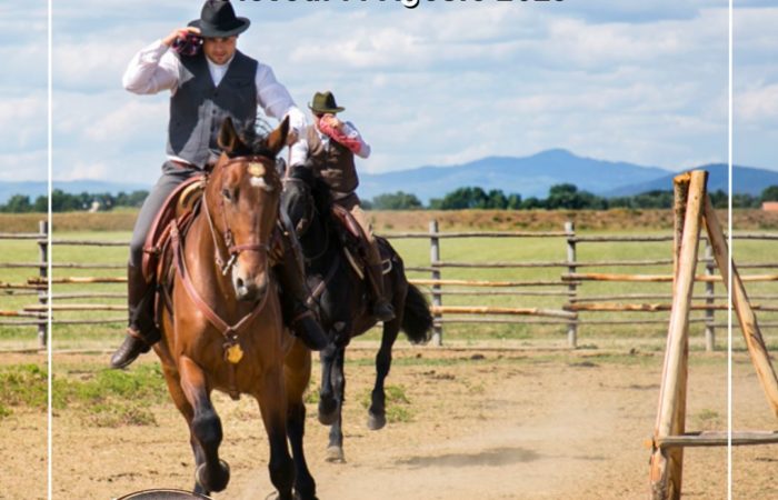 Spettacolo Butteri Maremma - Giuncola e Granaiolo Alberese