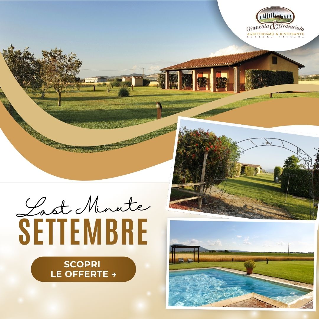 Agriturismo Giuncola e Granaiolo vicino al mare - Offerte Last Minute Settembre