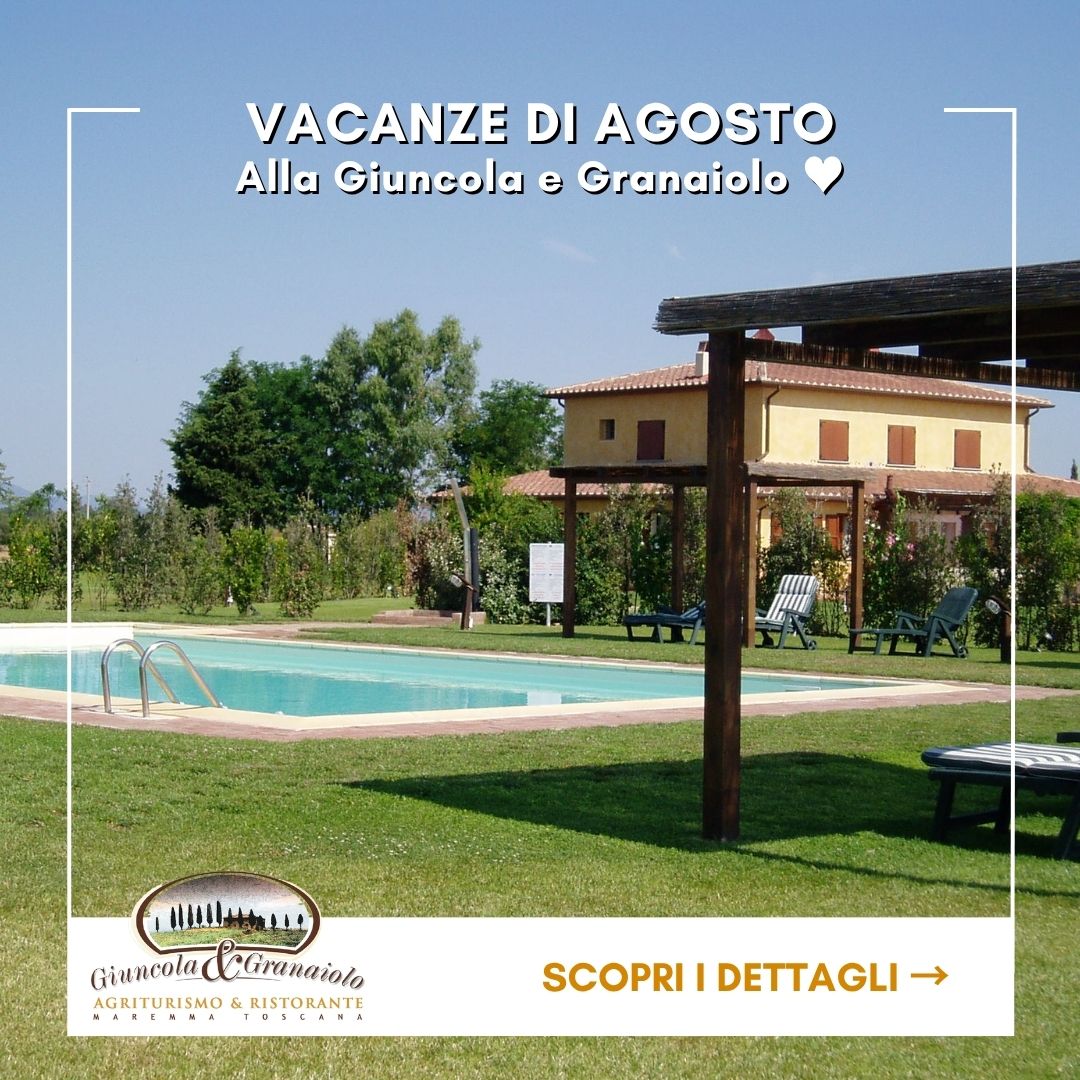 Vacanze di Agosto alla Giuncola e Granaiolo - Agriturismo Alberese Mare