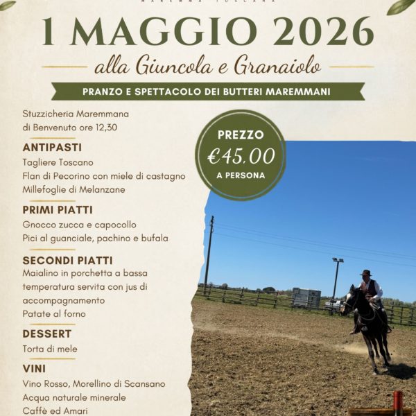 pranzo e spettacolo equestre-2