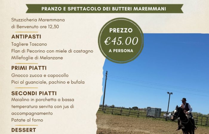 pranzo e spettacolo equestre-2