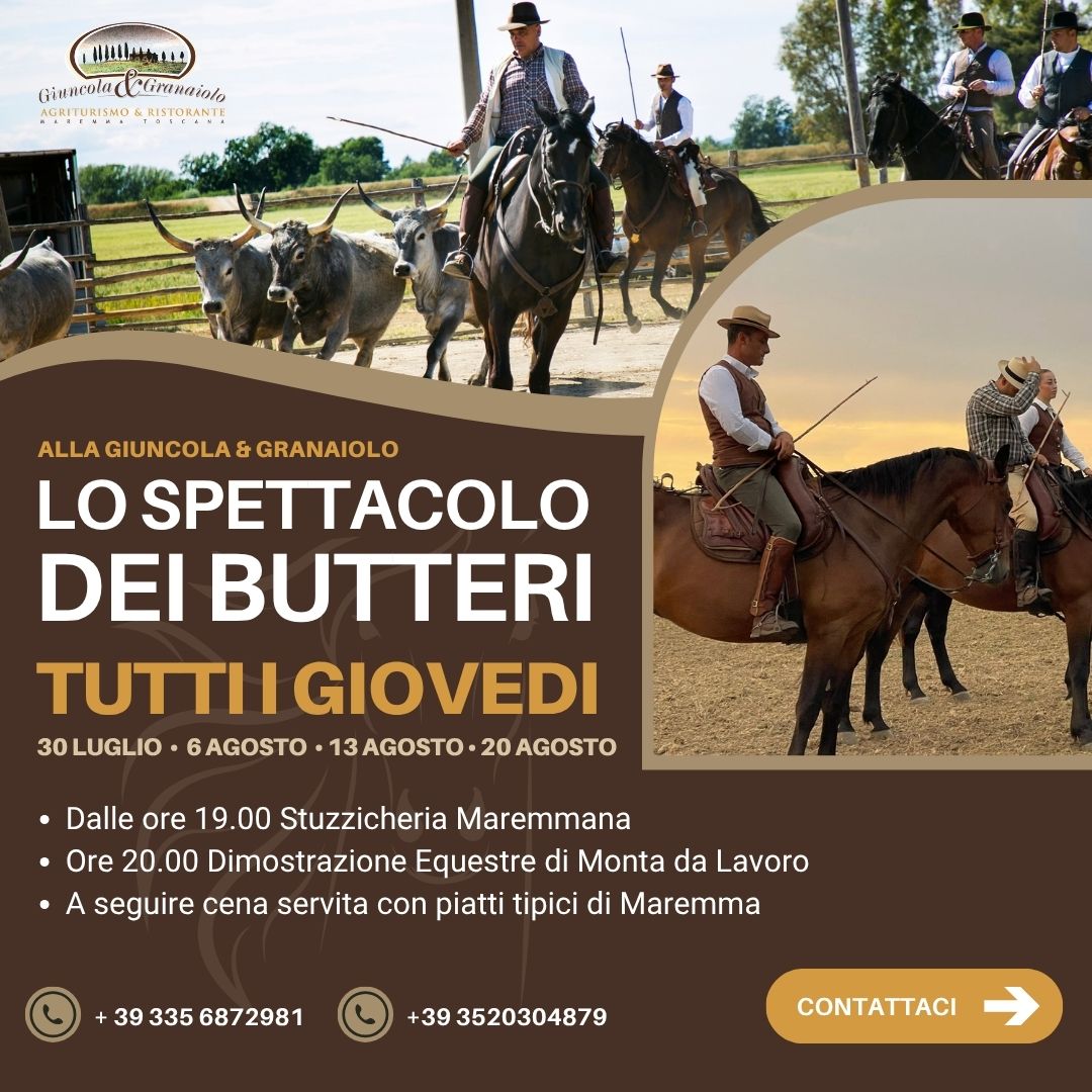 Giuncola e Granaiolo lo spettacolo dei butteri